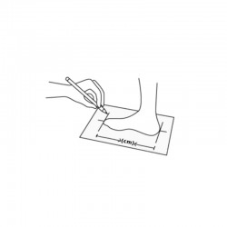 STD HORNET-EDEA TEMPO