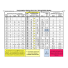 STD MASTER B-1+RISPORT ANTARES+IMPACT - STD Skates & Wheels -