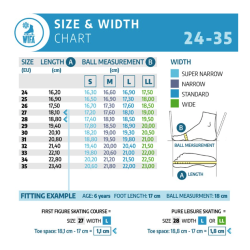 WIFA CHAMPION LIGHT COLORS - STD Skates & Wheels - Official STD
